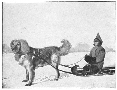 Klondike Jackj