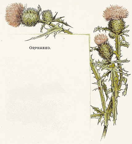 Thistles