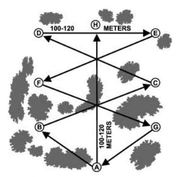 Sketch showing route of travel to clear a woods. Trees are marked with asymmetrical clumps of grey, scattered over the sketch. Route of travel is indicated by arrows, starting at Point A at the bottom center of the sketch. From Point A, arrow points to left and upwards to Point B at left side of sketch; from Point B, right and upwards to right side of sketch to Point C; left and upwards to top left side of sketch to Point D; straight across 100–120 meters the right to Point E at the upper right corner of the sketch. From there, downwards and left to Point F, which is between Points B and D, then downwards and right to Point G, which is below Point C, returning downwards and left to Point A. From Point A, straight upwards 100–120 meters to Point H, at the top center of the sketch, between Points D and E.