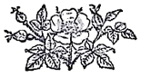 image014