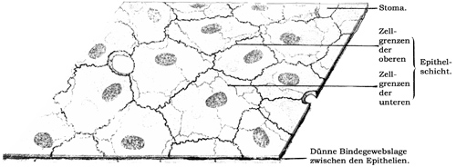 Fig. 22.