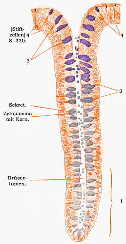 Fig. 30.
