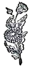 image023