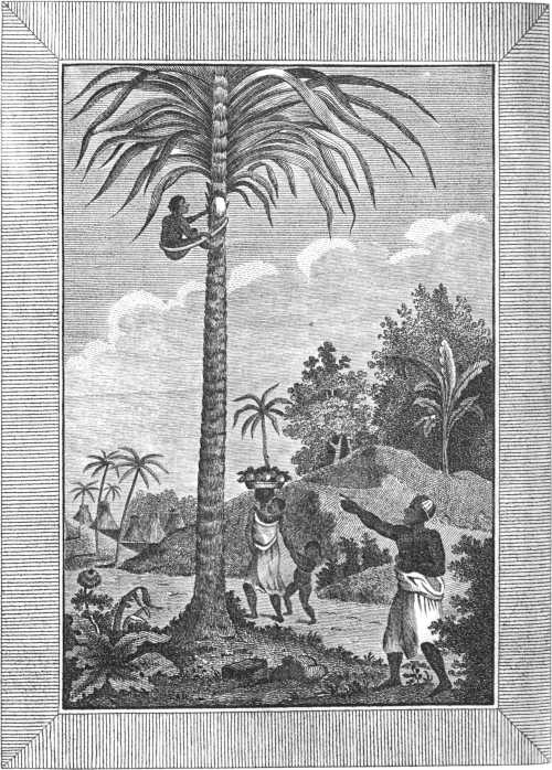 [Illustration]