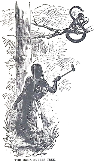 image010