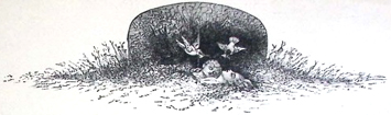 image043