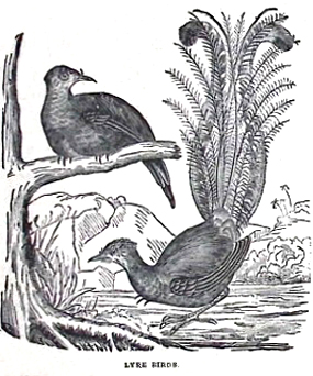 image080
